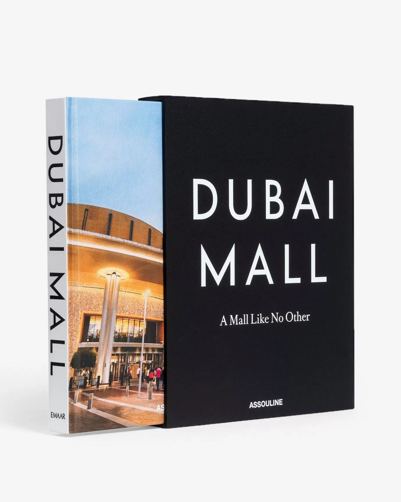 ASSOULINE Travel | Dubai Mall: A Mall Like No Other