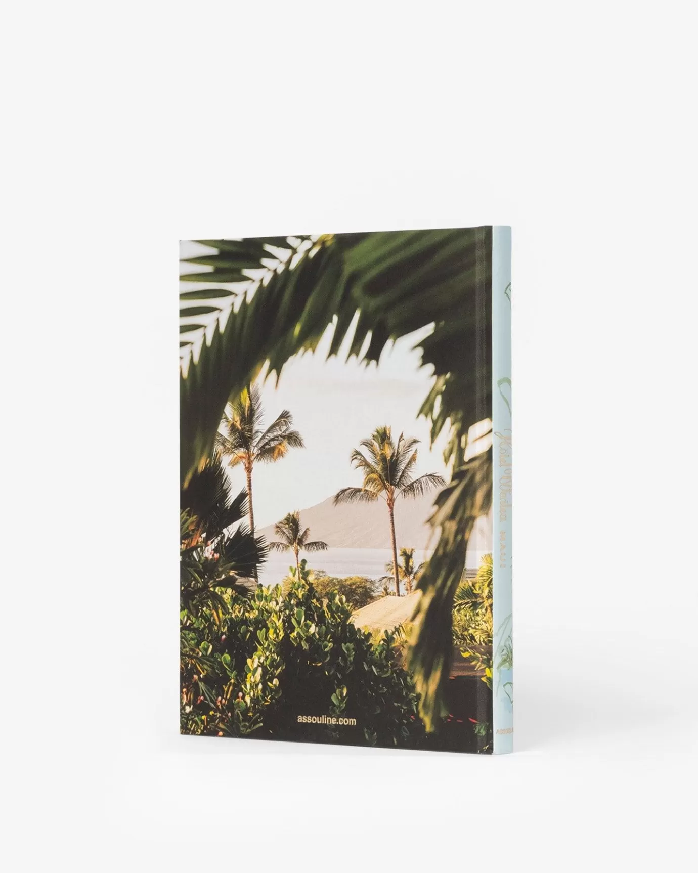 ASSOULINE Travel | Hotel Wailea