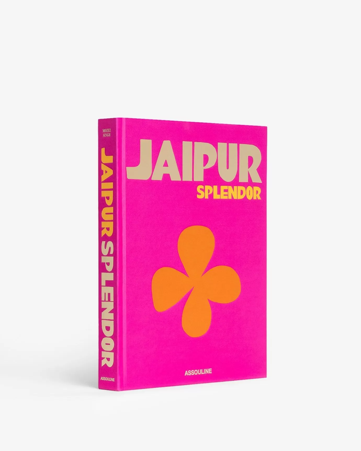 ASSOULINE Travel | Jaipur Splendor