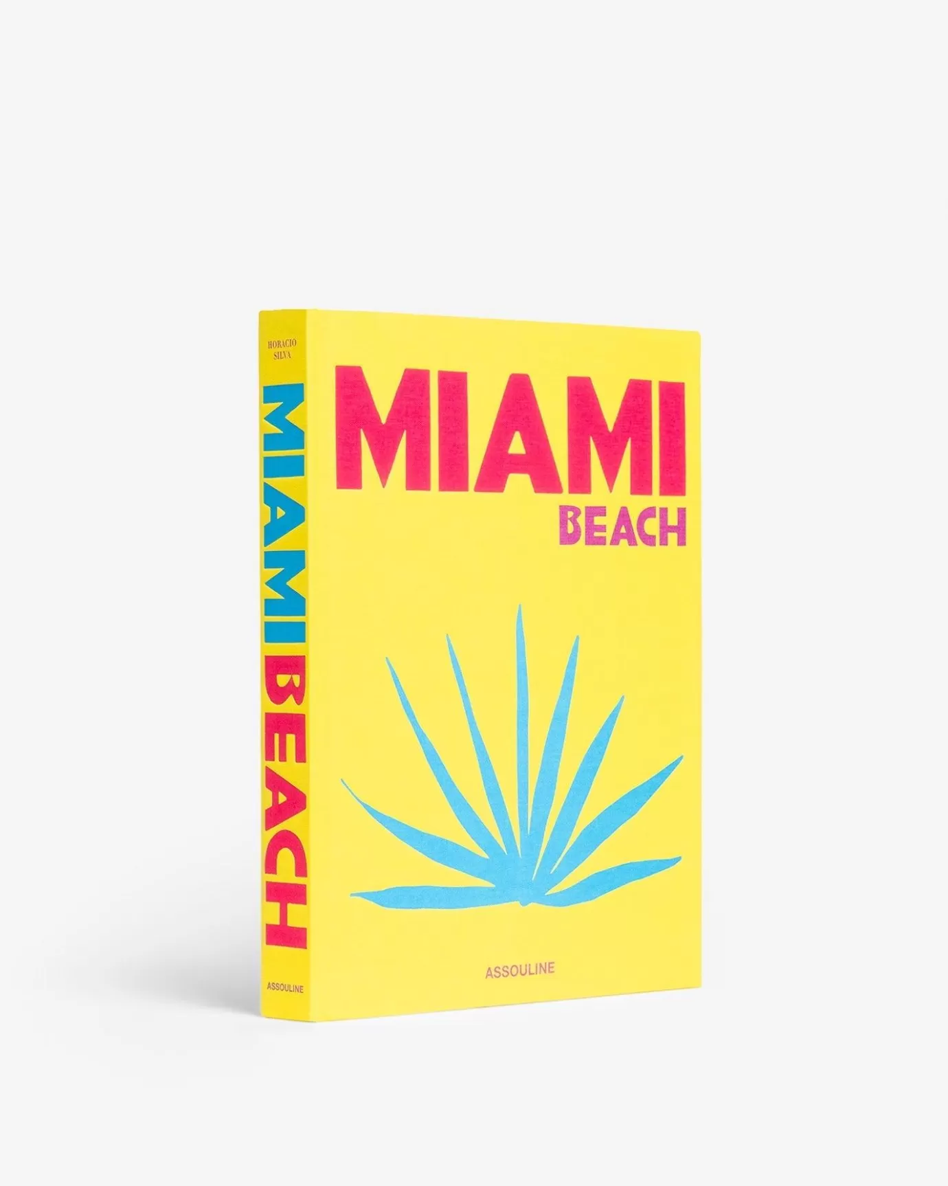 ASSOULINE Travel | Miami Beach