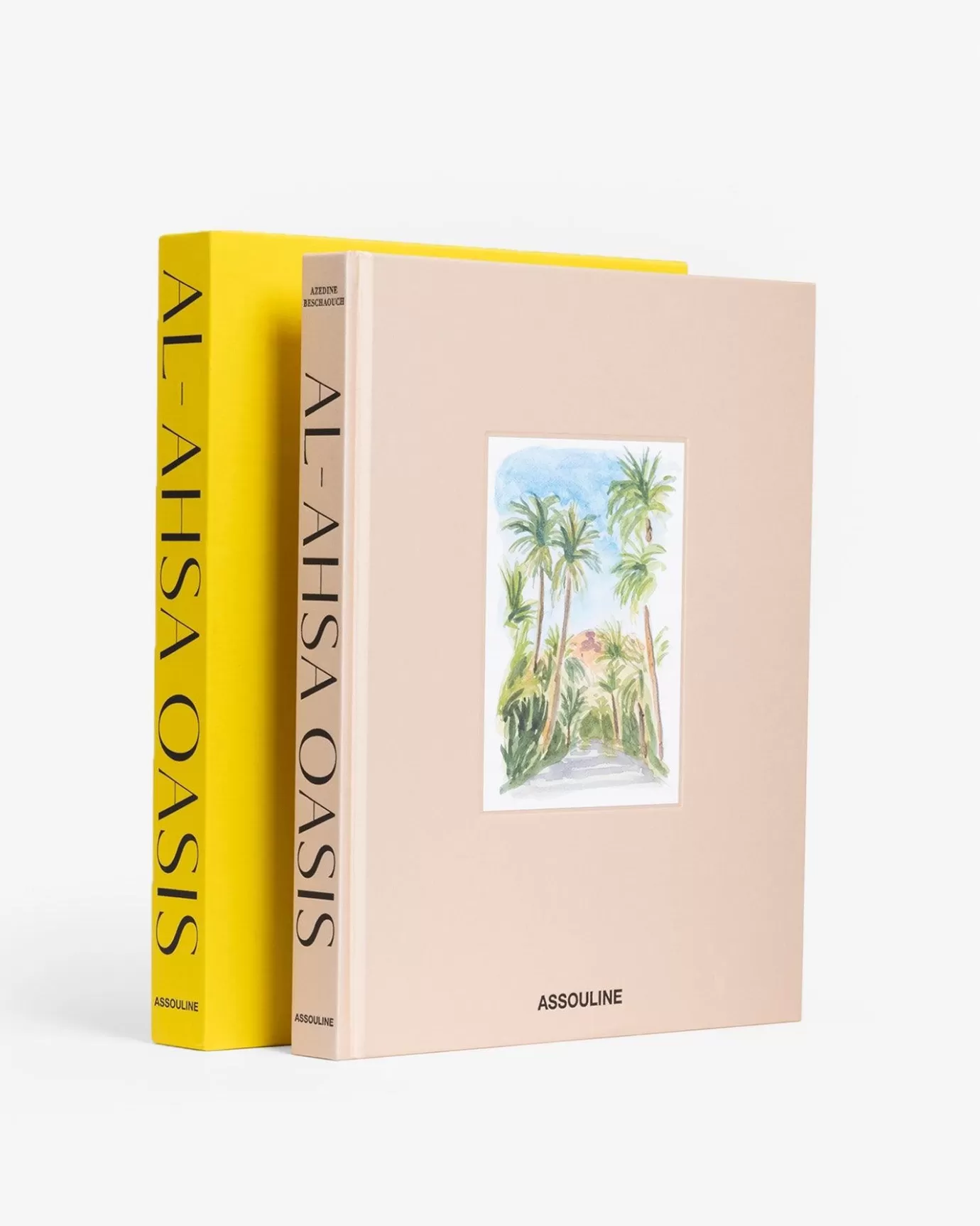 ASSOULINE Viaggi | Oasi Segreta di Al-Ahsa: Scopri la Gemma del Deserto in Arabia Saudita